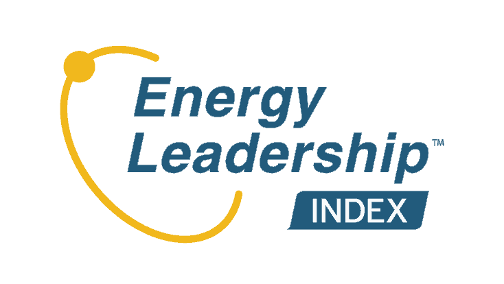 energy leadership